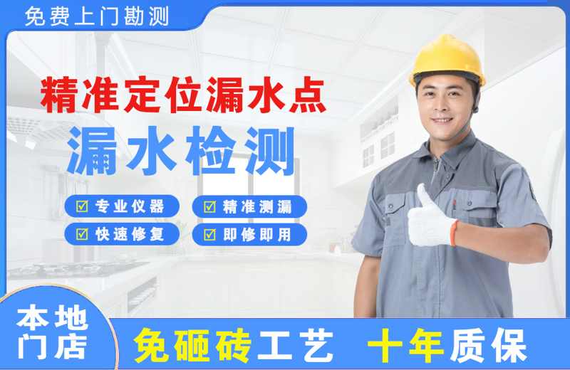 贞丰精准测漏点